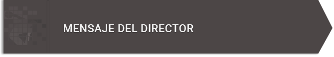 banner-interno-director
